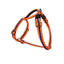 PetWale Cotton Adjustable H Harness for Dogs (Orange with Blue)