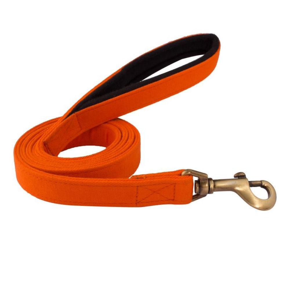 PetWale Padded Handle Dog Leash (Orange)