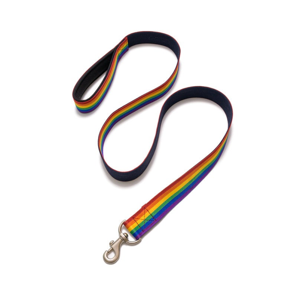 PetWale Rainbow Pride Padded Handle Dog Leash (Multicolour)