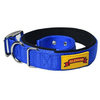 Glenand Padded Collar for Dogs (Light Blue)