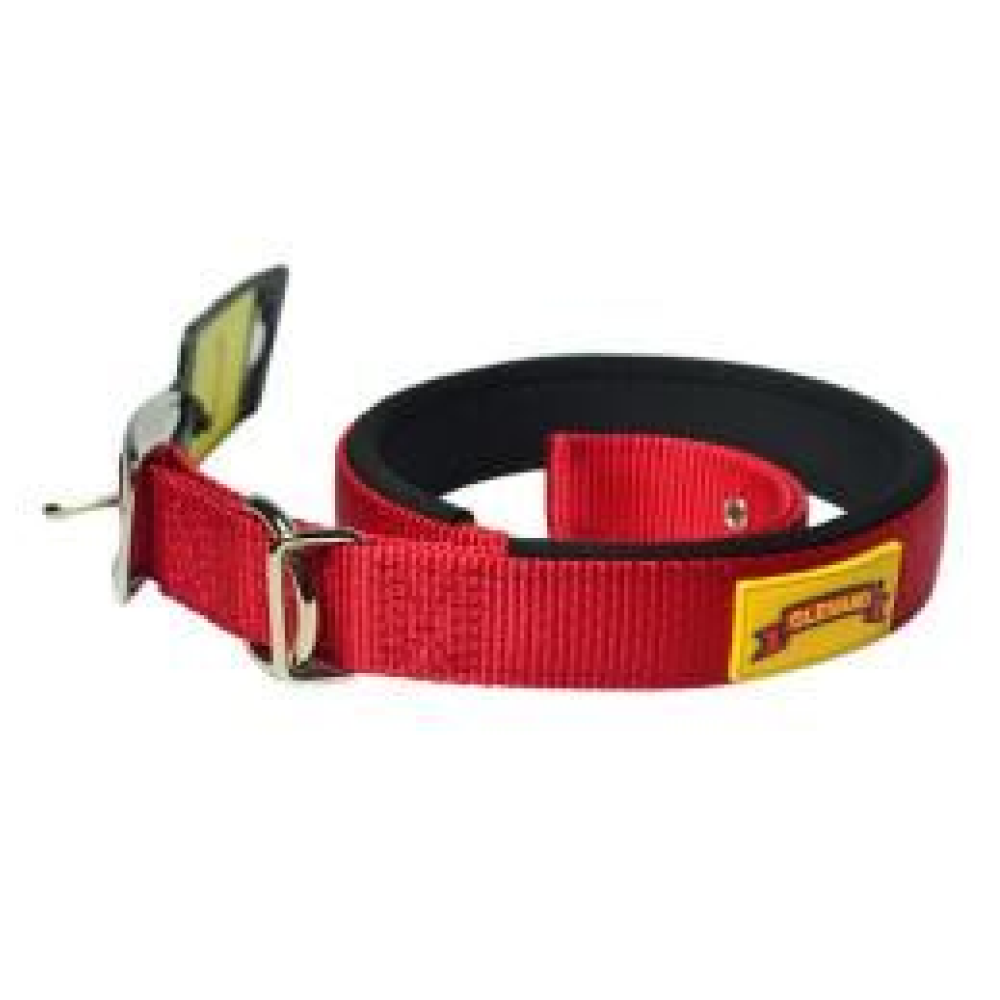 Glenand Padded Collar for Dogs (Red)