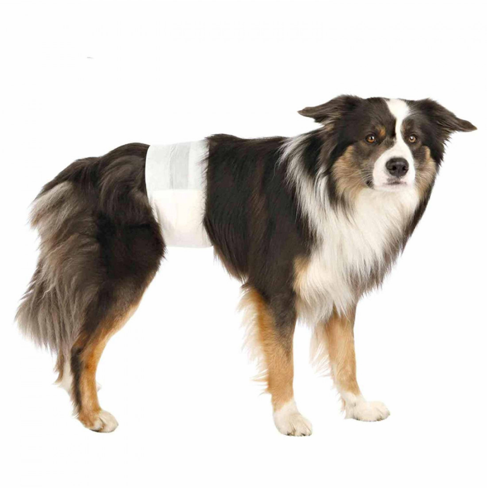 Trixie Diapers for Male Dogs (40x60cm) Dogs-Health & Wellness Trixie