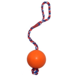 Emily Pets Rubber Ball with Rope Chew Toy for Dogs (Orange)