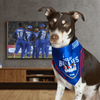 Barkbutler Delhi Bellies Bandana for Dogs | Indian Pet League Dogs-Clothing & Accessories Barkbutler