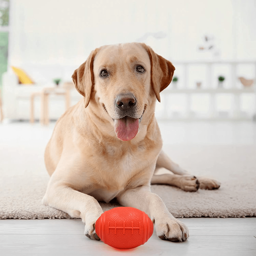 Barkbutler Just a Football Chew Toy for Dogs