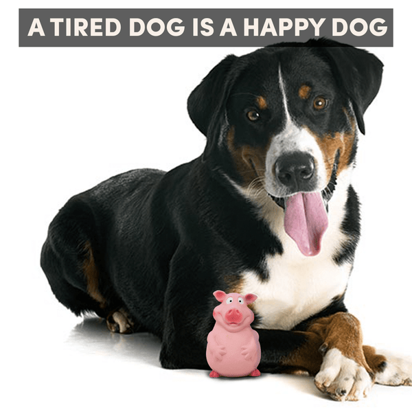 Barkbutler x Fofos Latex Bi Pig Toy for Dogs