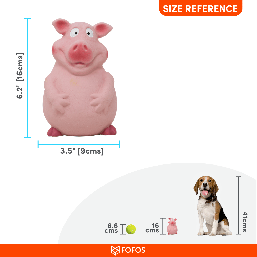 Fofos Latex Bi Pig Toy for Dogs