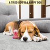 Barkbutler x Fofos Latex Bi Small Pig Toy for Dogs Dogs-Toys Barkbutler
