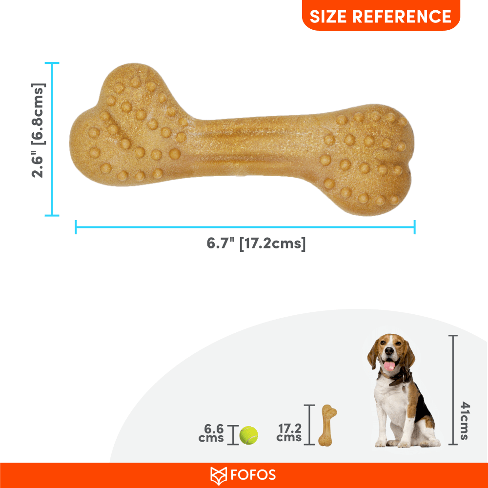 Barkbutler x Fofos Woodplay Brush Bone Toy for Dogs | For Chewers (Brown) Dogs-Toys Barkbutler