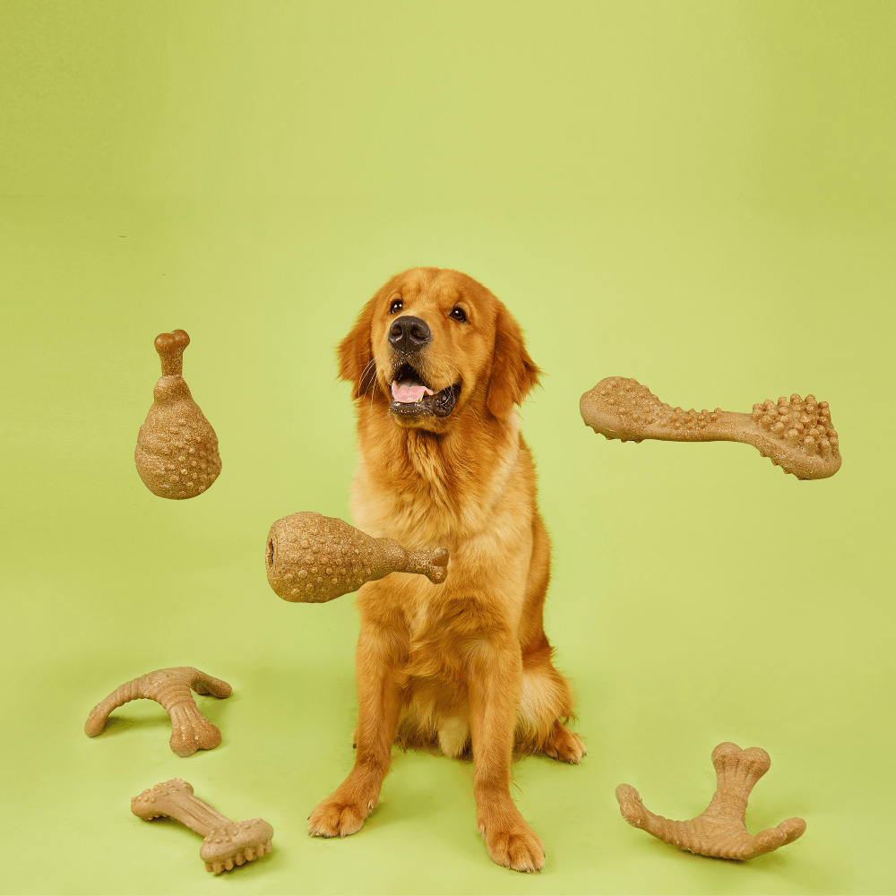 Fofos Woodplay Drumstick Toy for Dogs