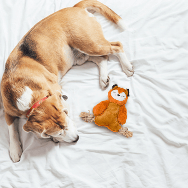 Barkbutler x Fofos Ropeleg Plush Bear Toy for Dogs | For Medium Chewers