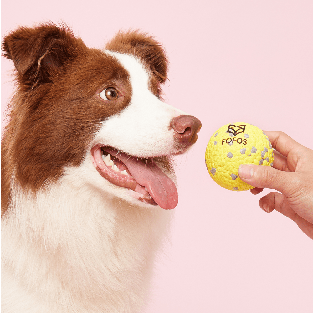 Barkbutler x Fofos Super Bounce Chew Ball for Dogs (Yellow) | For Aggressive Chewers Dogs-Toys Barkbutler