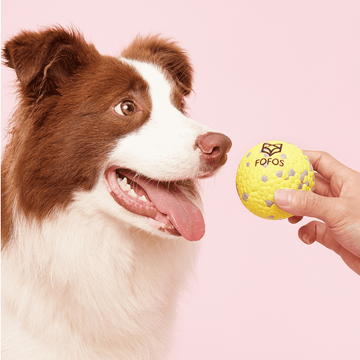 Fofos Super Bounce Chew Ball for Dogs (Yellow) | For Aggressive Chewers