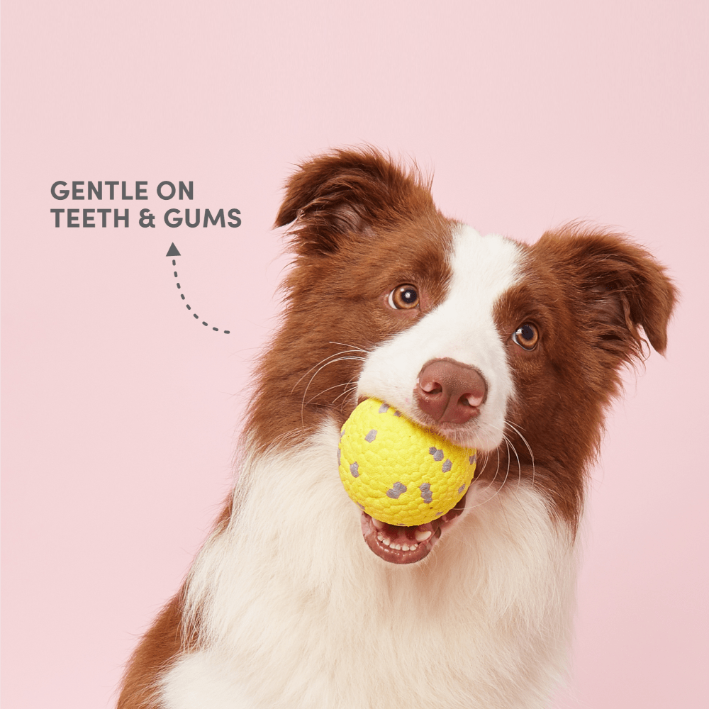 Barkbutler x Fofos Super Bounce Chew Ball for Dogs (Yellow) | For Aggressive Chewers Dogs-Toys Barkbutler