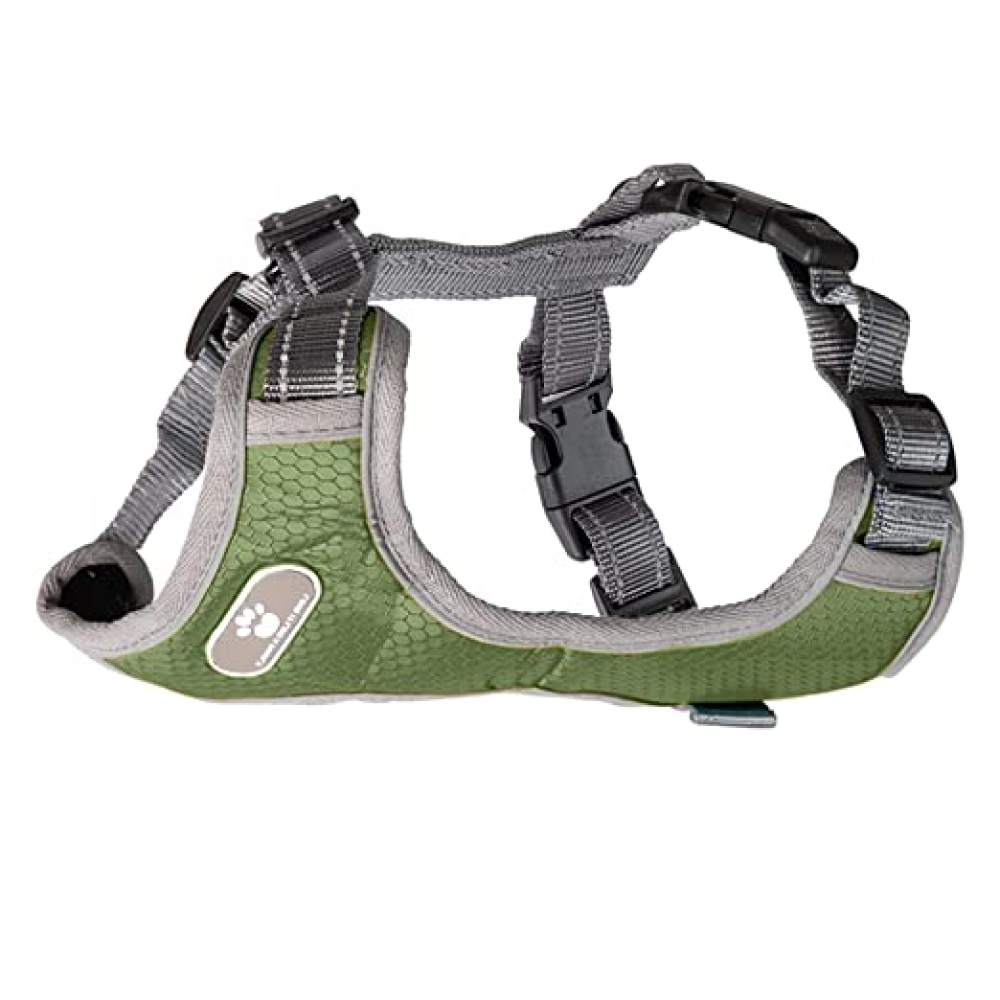 Whoof Whoof Bottom Padded Harness for Dogs (Green)