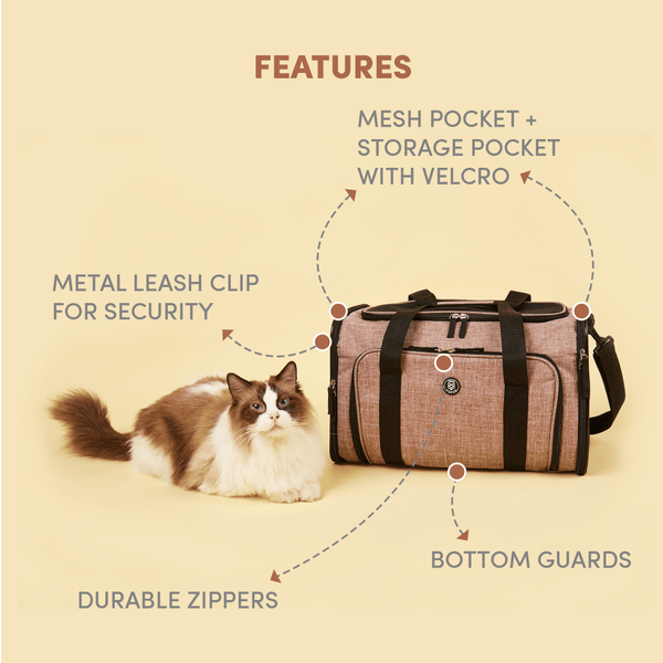 Barkbutler x Fofos Expandable Foldable Carrier for Dogs and Cats (Grey)