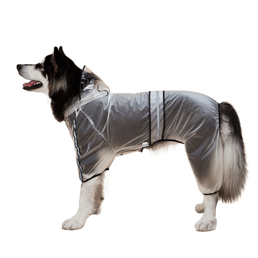 Barkbutler x Fofos Four Leg Black Raincoat for Dogs (Button Up Style) Dogs-Clothing & Accessories Barkbutler