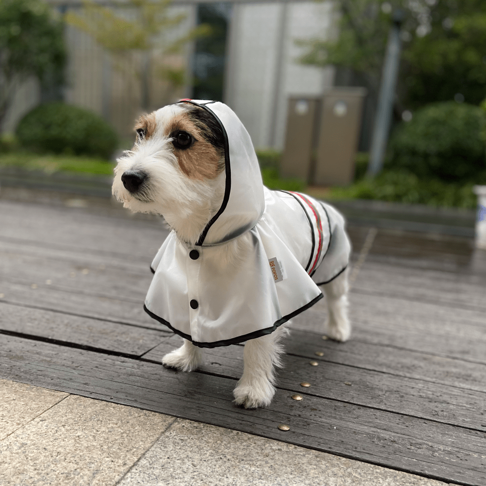 Barkbutler x Fofos Reflective Raincoat for Dogs Dogs-Clothing & Accessories Barkbutler