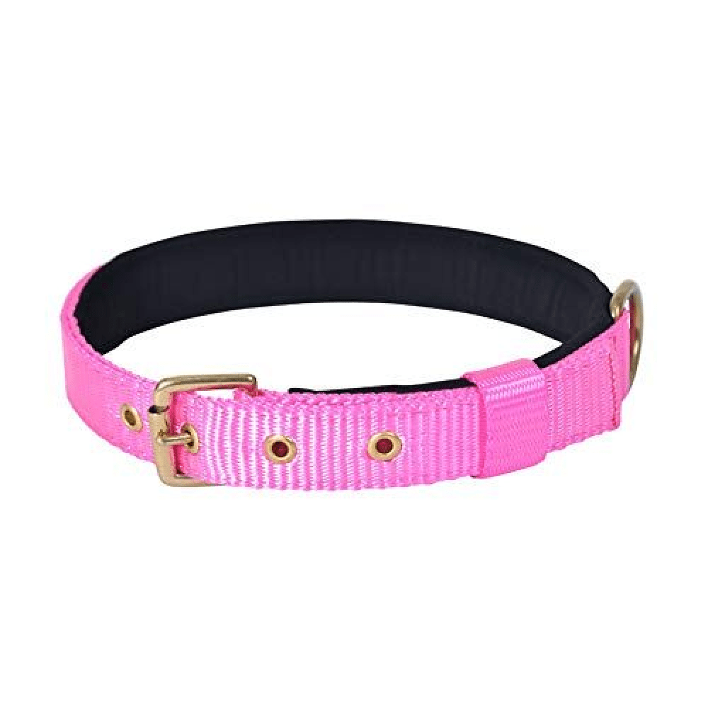 Glenand Petz Pure Nylon Padded Collar for Dogs (3/4 inches)