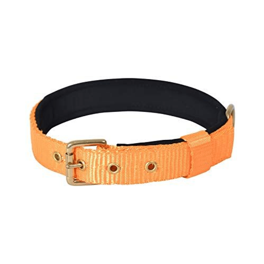 Glenand Petz Pure Nylon Padded Collar for Dogs (Orange,3/4 inches)
