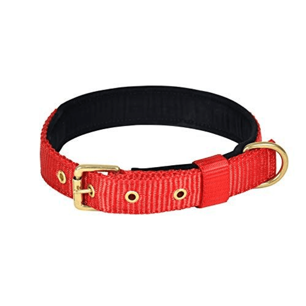 Glenand Petz Pure Nylon Padded Collar for Dogs (1 inches)
