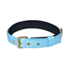 Glenand Petz Pure Nylon Padded Collar for Dogs (3/4 inches)
