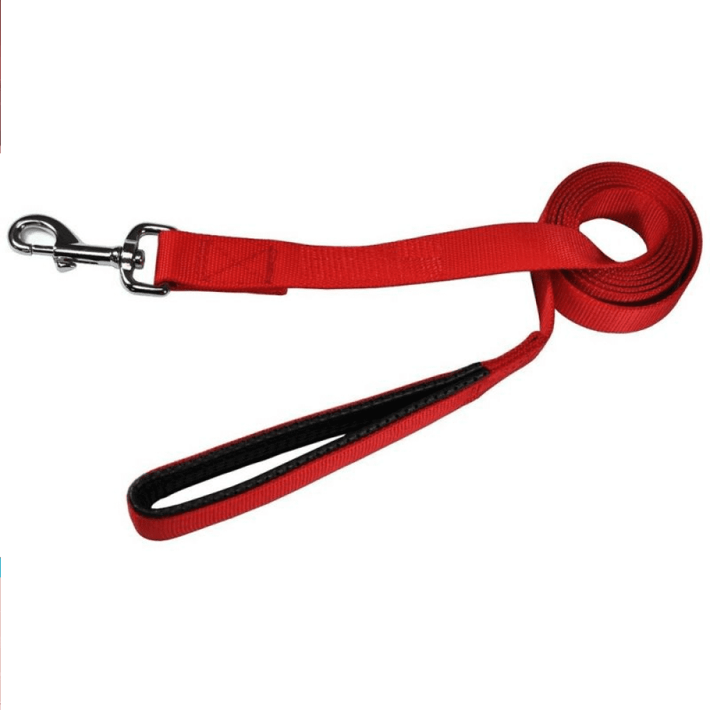 Glenand Petz Pure Nylon Padded Leash for Dogs (Red)