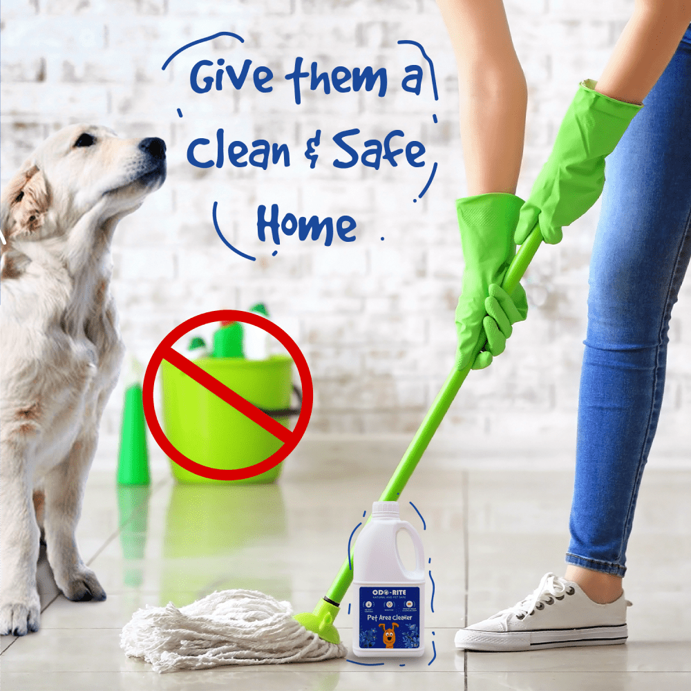 Odo Rite Pet Area Cleaner with Odour Neutralizer Both-Health & Wellness Odo-Rite