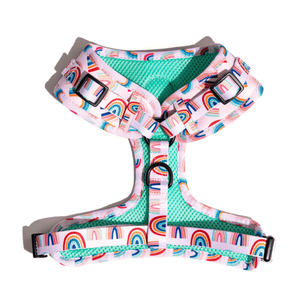 Furry & Co Raining Rainbow No Pull Harness for Dogs