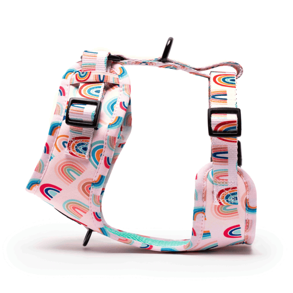 Furry & Co Raining Rainbow No Pull Harness for Dogs