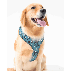 Furry & Co Wild One No Pull Harness for Dogs