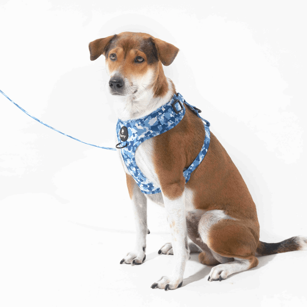 Furry & Co Cool Camo No Pull Harness for Dogs