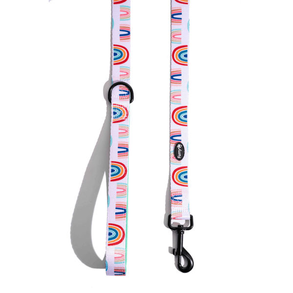 Furry & Co Raining Rainbows Comfort Leash for Dogs