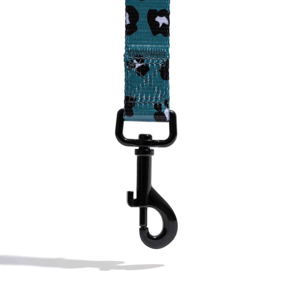 Furry & Co Wild One Comfort Leash for Dogs Dogs-Collar, Leashes, harnesses Furry & Co