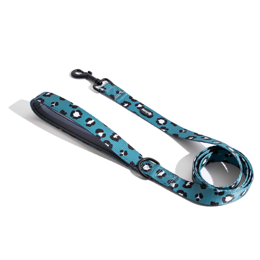 Furry & Co Wild One Comfort Leash for Dogs Dogs-Collar, Leashes, harnesses Furry & Co M:15mm Width