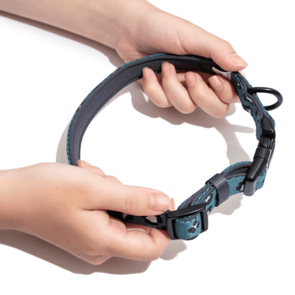 Furry & Co Wild One Comfort Collar for Dogs