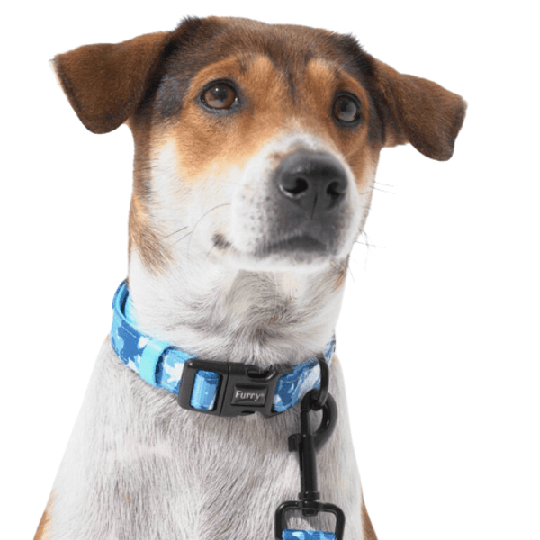 Furry & Co Cool Camo Comfort Collar for Dogs