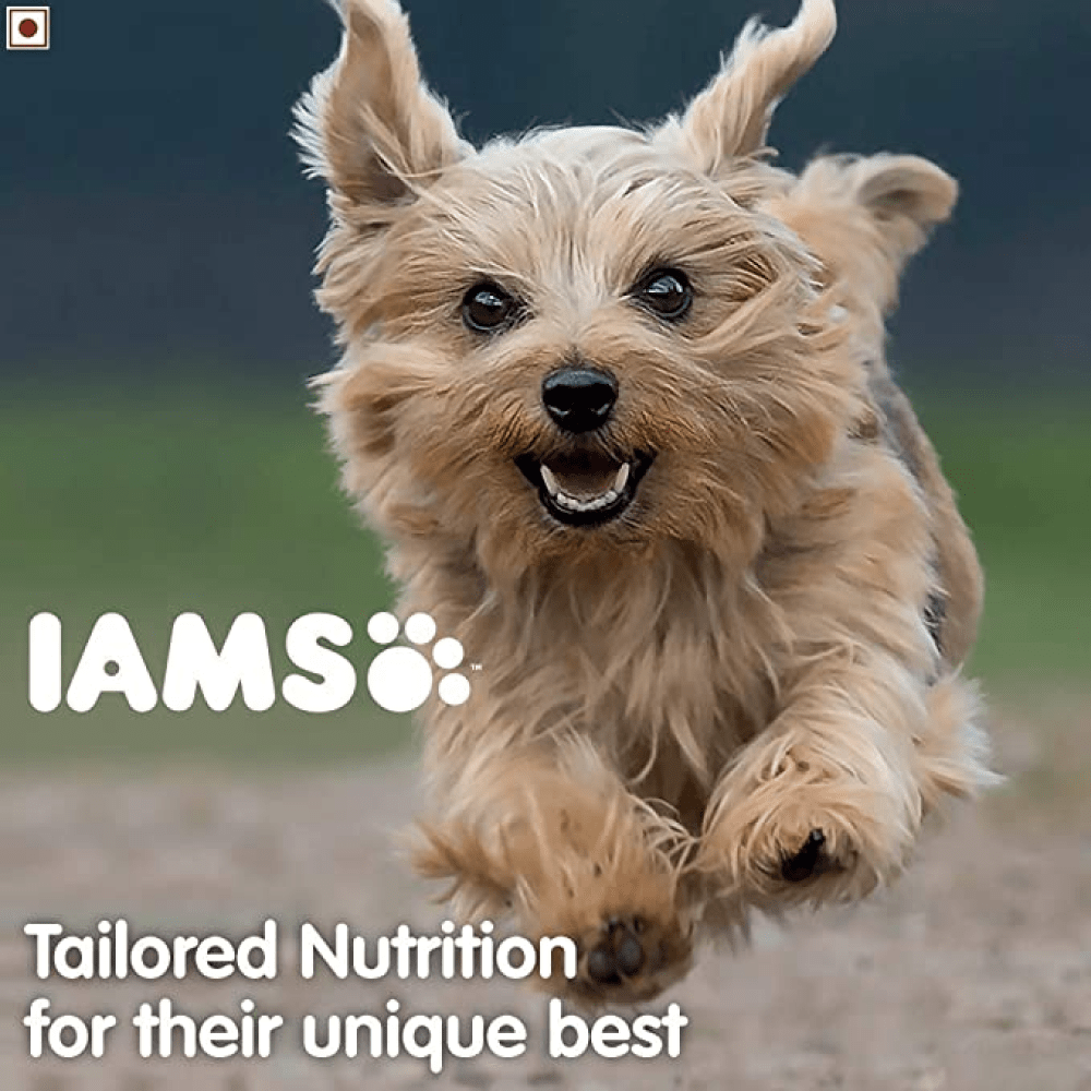 IAMS Proactive Health Smart Small & Medium Breed Puppy Dry Food