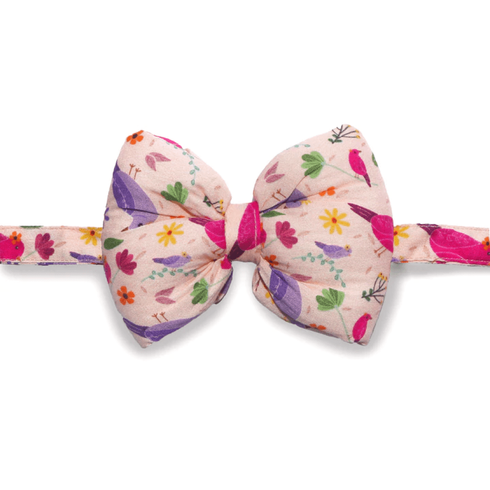 Mutt of Course Chirpy Chirps Bow Tie For Dogs