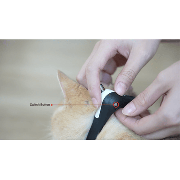 Cheerble Amusing Collar for Cats