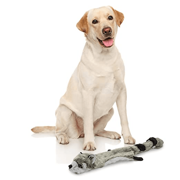 Barkbutler x Fofos Skinneez Raccoon Toy for Dogs