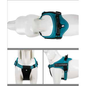 Truelove Classic Strap Harness for Dogs (Blue)