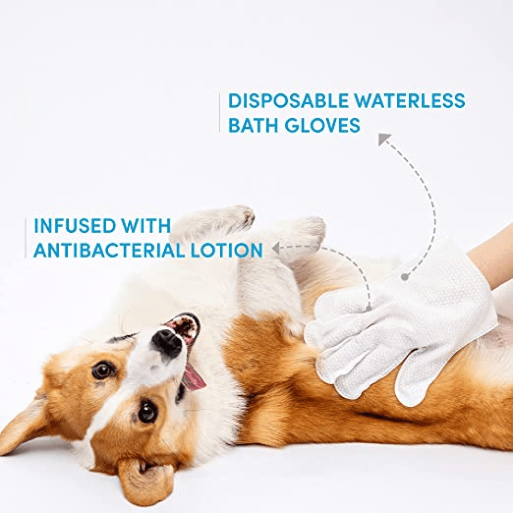 Fofos 8 Waterless Wash Gloves for Dogs and Cats