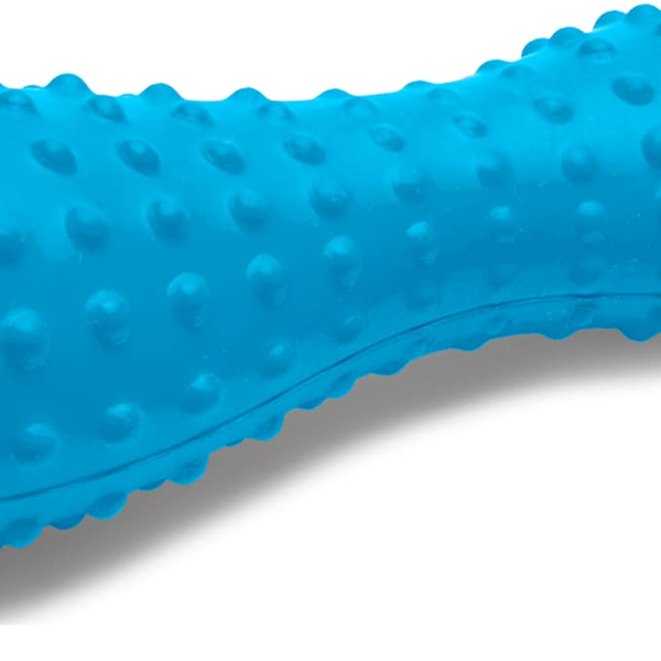 Ruffwear Gourdo Chew Toy for Dogs (Metolius Blue)