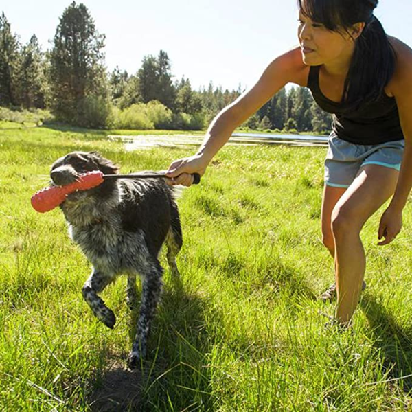 Ruffwear Gourdo Chew Toy for Dogs (Metolius Blue)