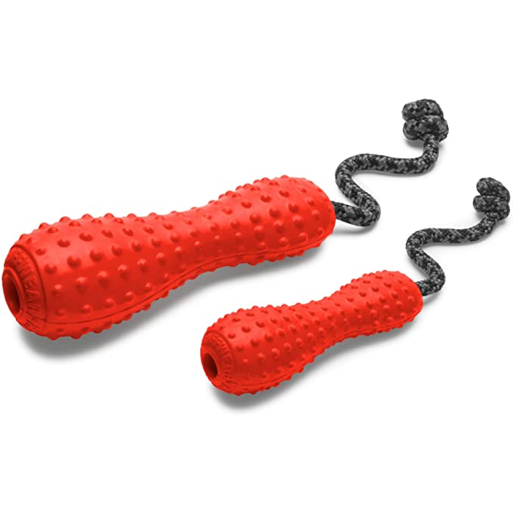 Ruffwear Guordo Chew Toy for Dogs (Sockeye Red)