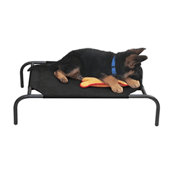Hiputee Canvas Elevated Bed for Dogs and Cats (Black)