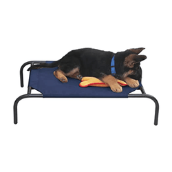 Hiputee Canvas Elevated Bed for Dogs and Cats (Blue)