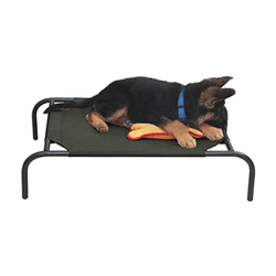 Hiputee Lining Elevated Bed for Dogs and Cats (Green)