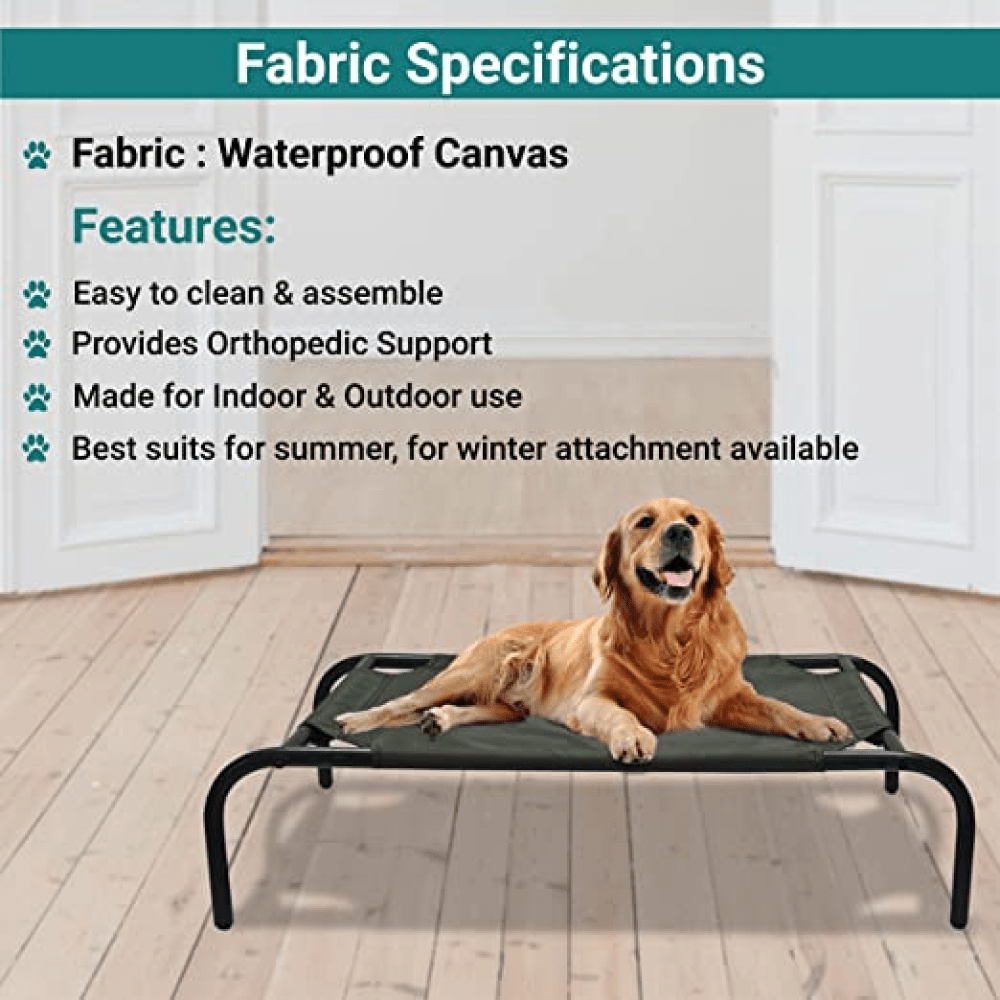 Hiputee Green Lining Elevated Pet Bed